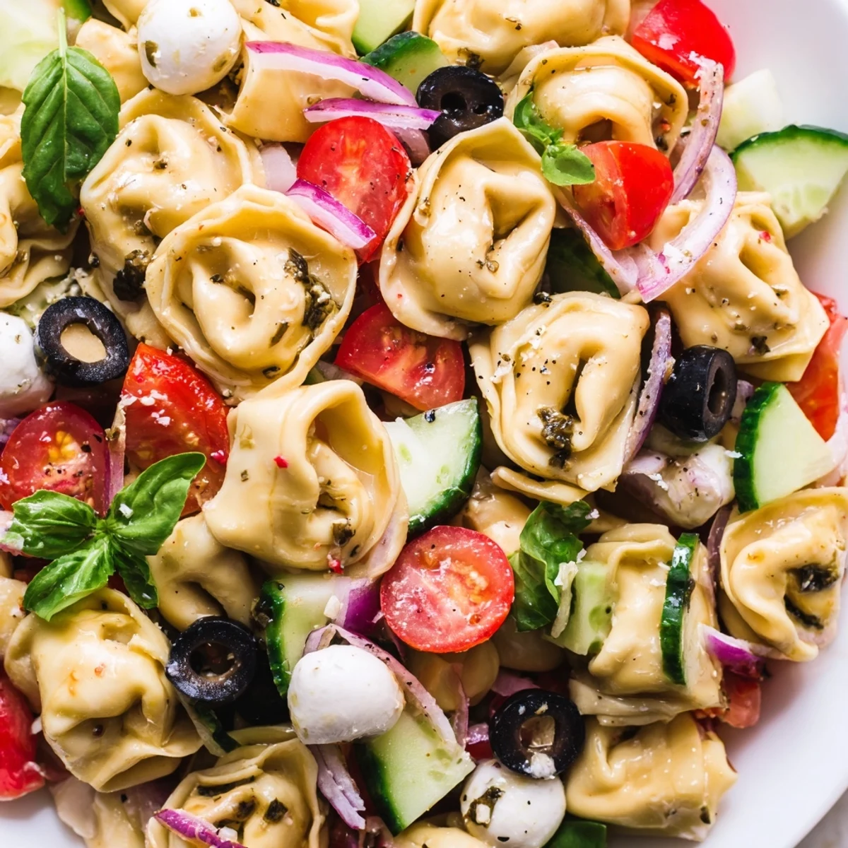 Colorful tortellini salad with cherry tomatoes, cucumber, and mozzarella tossed in Italian dressing